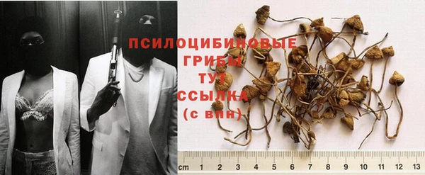 шишки Балахна