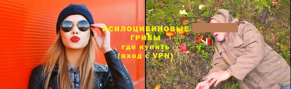 шишки Балахна